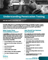 Penetration Testing